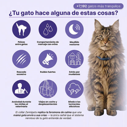 Zennipets™ Collar calmante para gatos