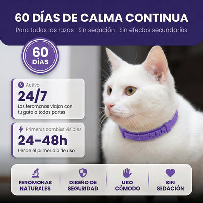 Zennipets™ Collar calmante para gatos