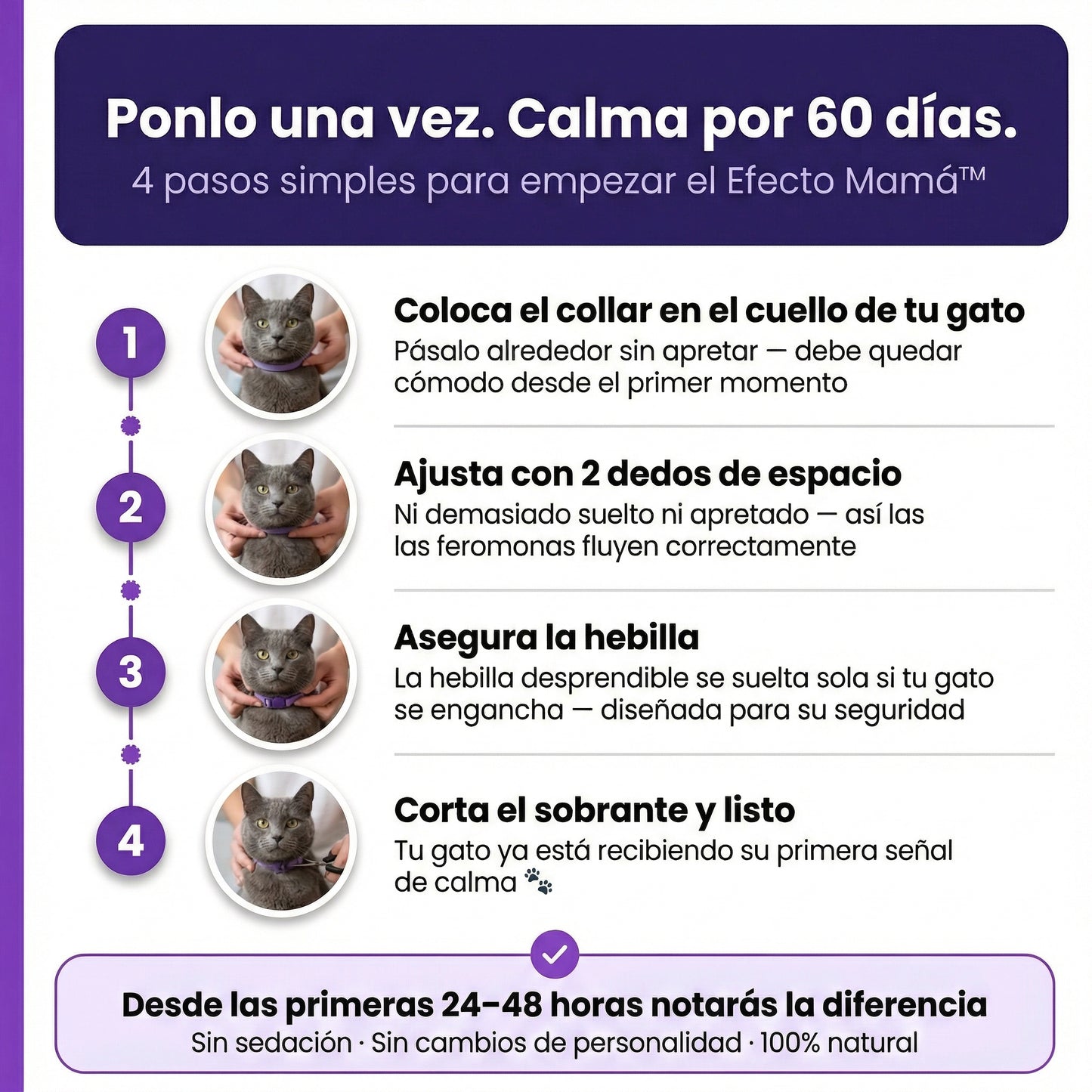 Zennipets™ Collar calmante para gatos