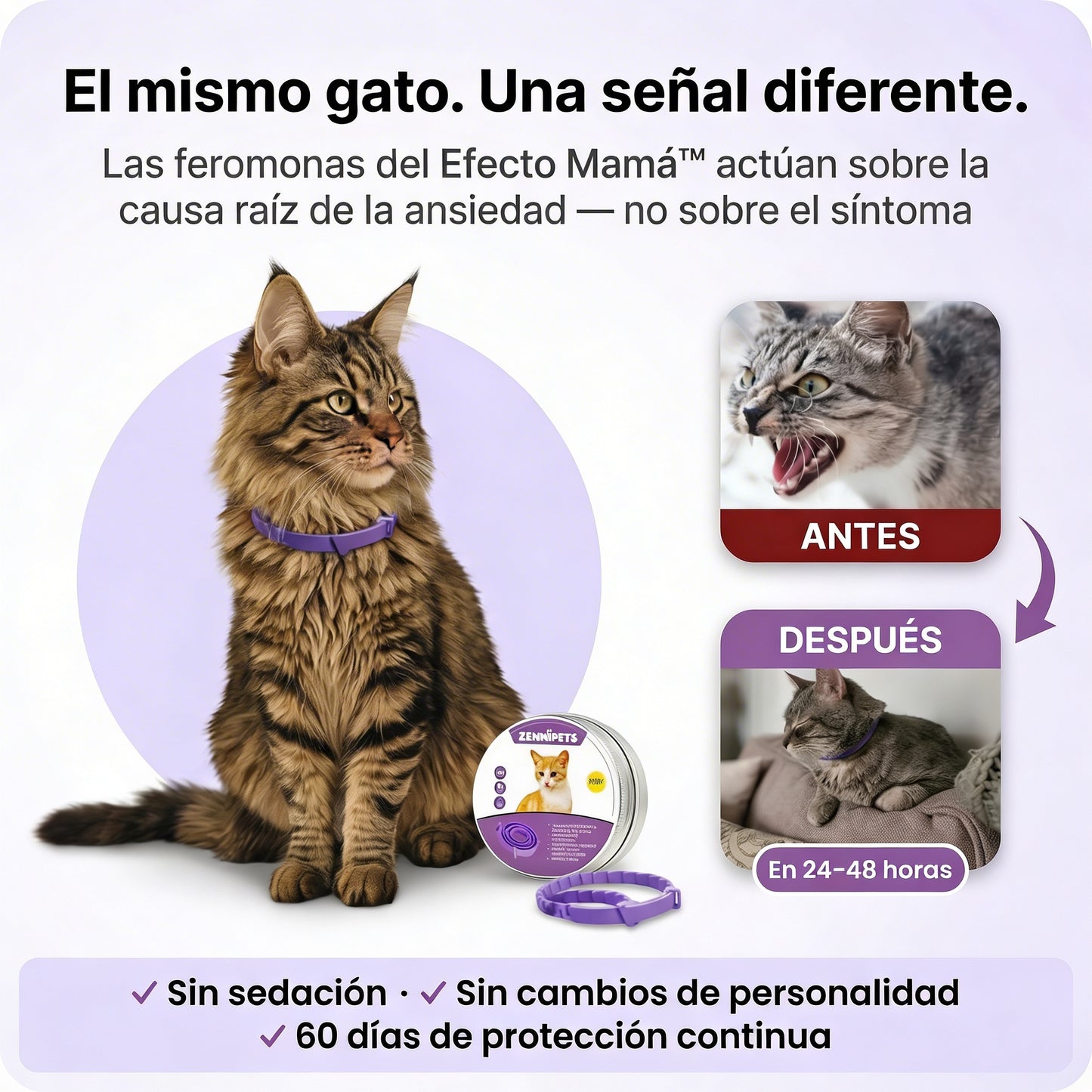 Zennipets™ Collar calmante para gatos