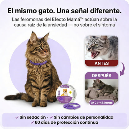 Zennipets™ Collar calmante para gatos